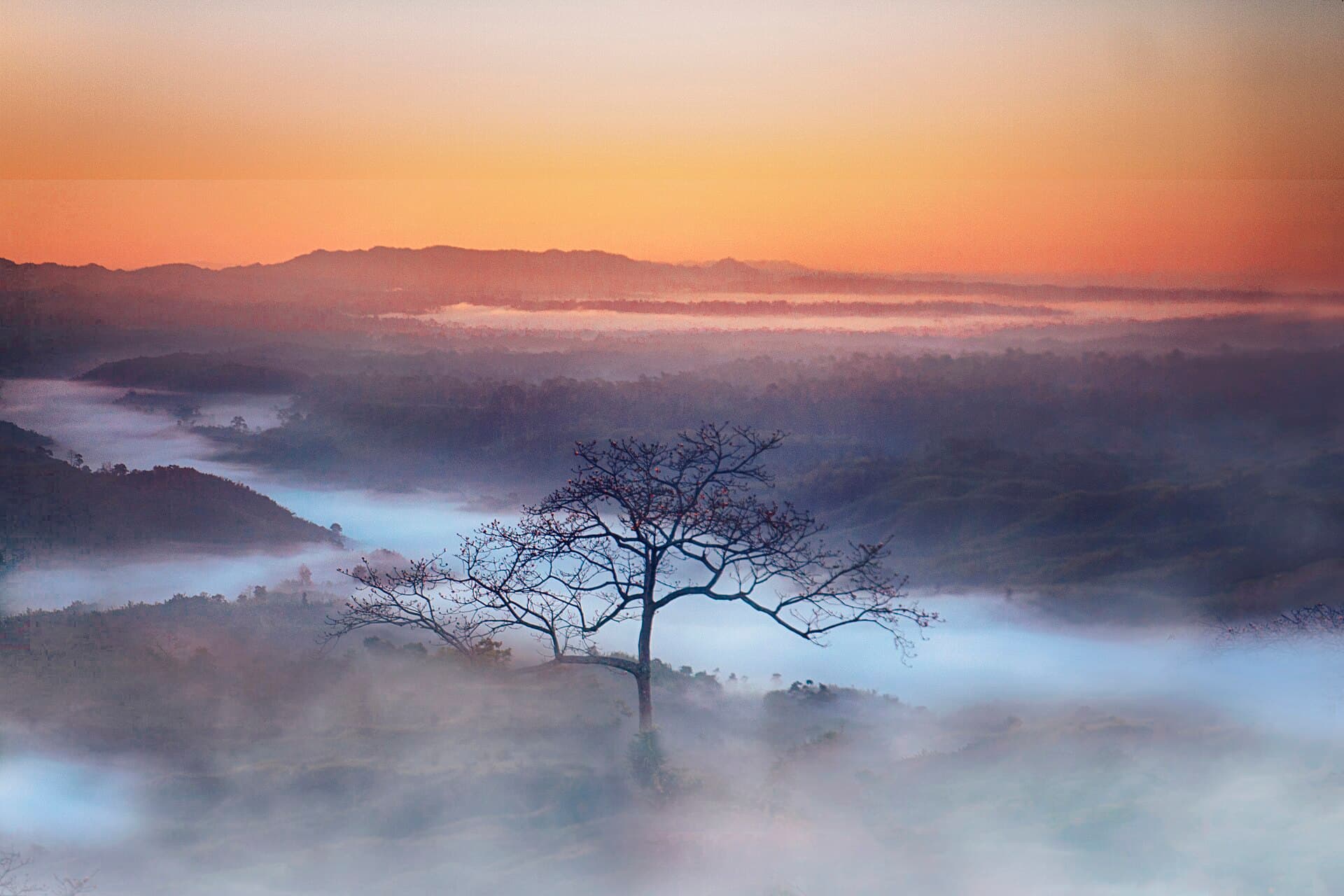 Clouds flowing like rivers through the hills at Sajek Valley at dawn