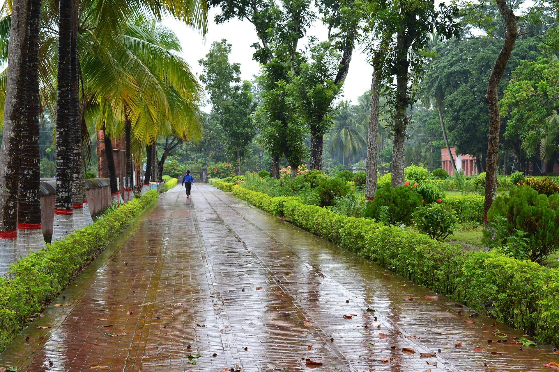 The Sixty Dome Mosque (Shat Gombuj Masjid), a UNESCO site at Bagerhat